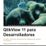 QlikView 11 for Developers: What's Inside?